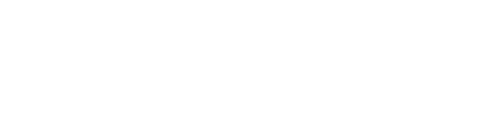 Pavix
